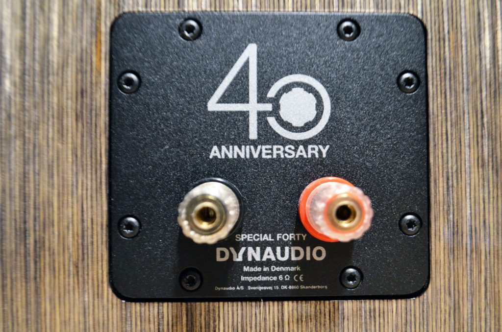 Dynaudio Special Forty Anschluss