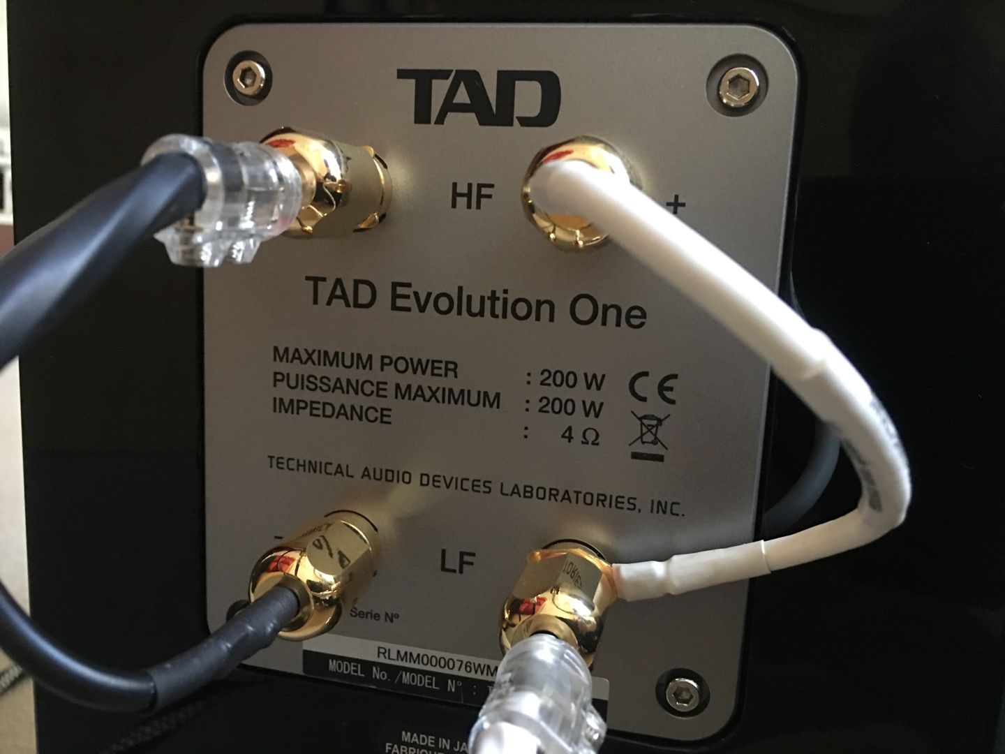 TAD Evolution One TX connecting Terminal