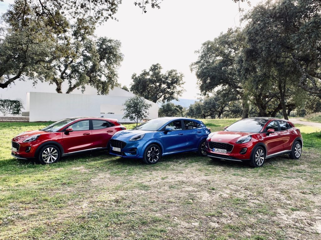 Drei Ford Puma parken auf einer Wiese