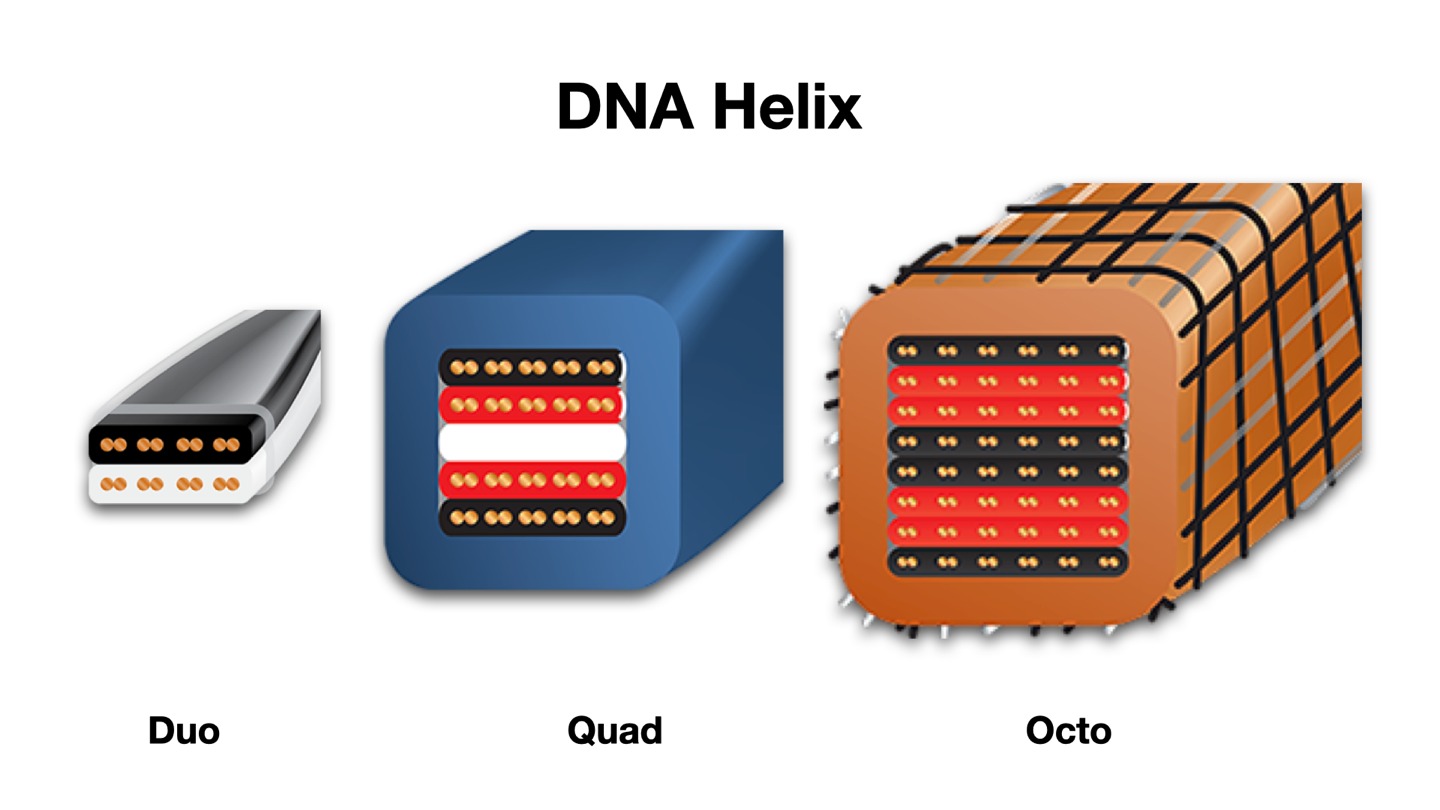 Wireworld DNA Helix Architecture