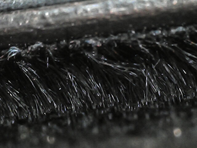 Das Mikroskop zeigt die ungewöhnlich langen Fasern der Samtflächen (Foto: R. Vogt)