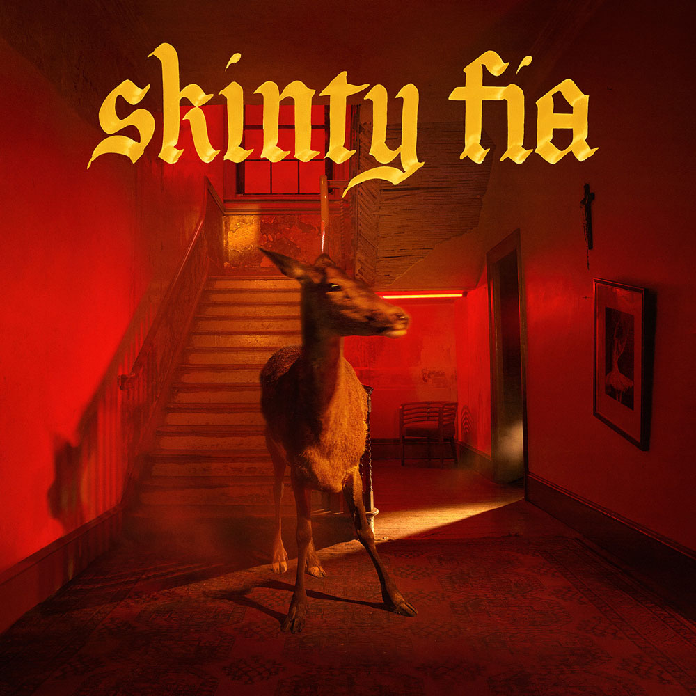 Fontaines D.C. "Skinty Fia" Cover