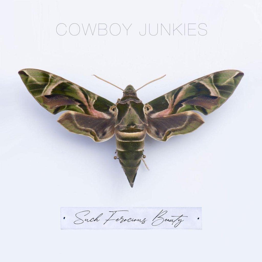 Cowboy Junkies „Such Ferocious Beauty“ Cover