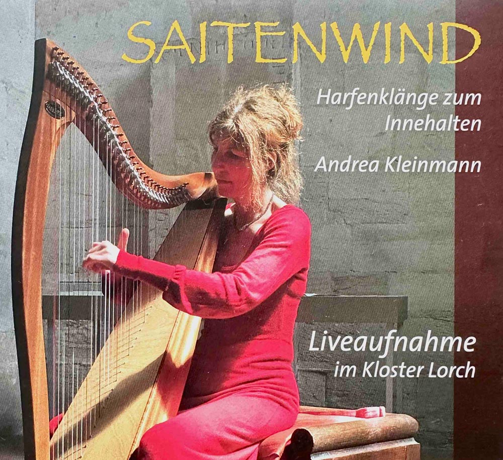 Andrea Kleinmann Saitenwind Cover