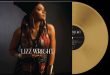 Lizz Wright "Shadow" ist ein wunderabrer Mix aus Jazz, Soul, R&B, Folk und Gospel...